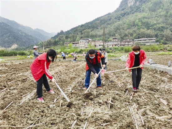 春耕时节忙“双抢”