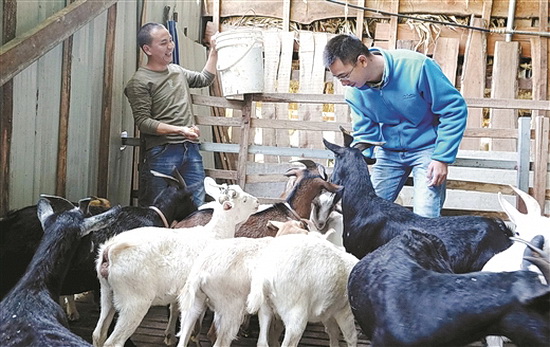 第一书记帮扶忙