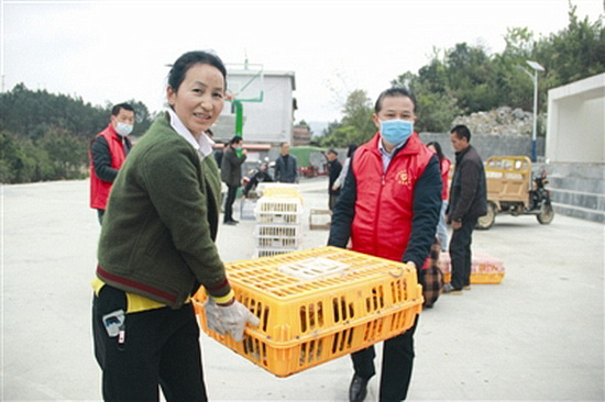扶贫送鸭苗 群众乐开怀