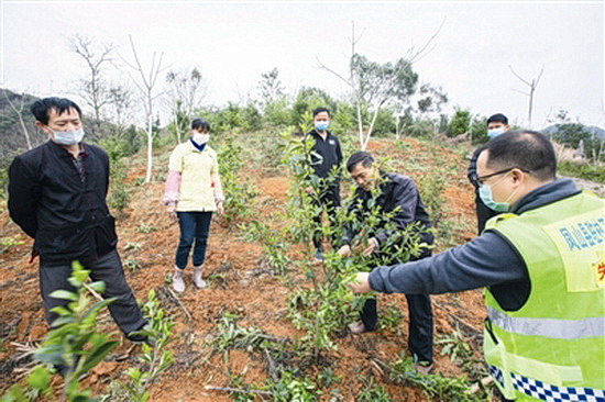 凤山：力争防疫与脱贫“两不误”