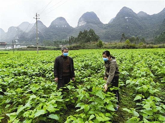 科协牵头开展科技下乡便民惠民服务活动