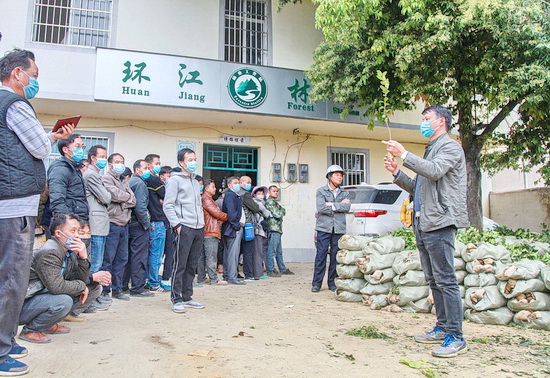 环江：壮大油茶产业 实现稳定增收