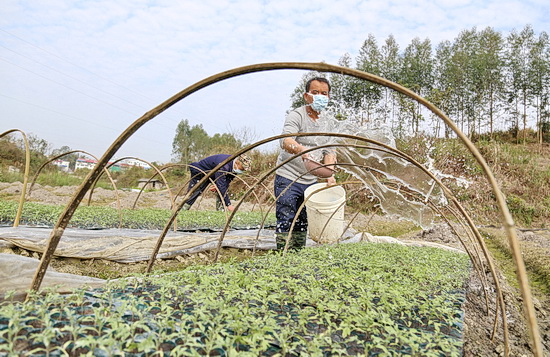环江：春耕生产有序开展