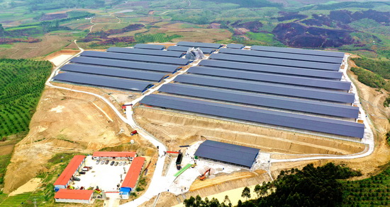 宜州大写“牛文章”