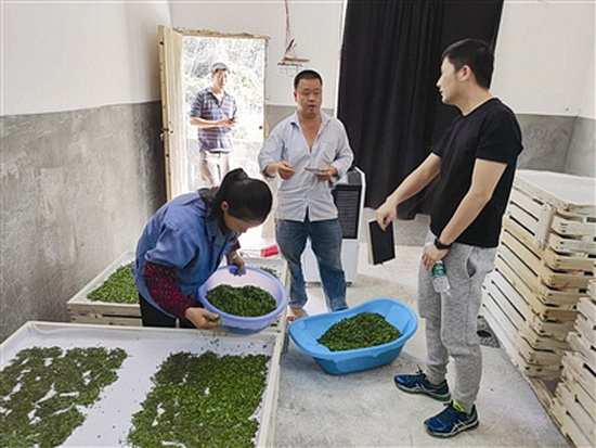 小蚕共育 为民造福