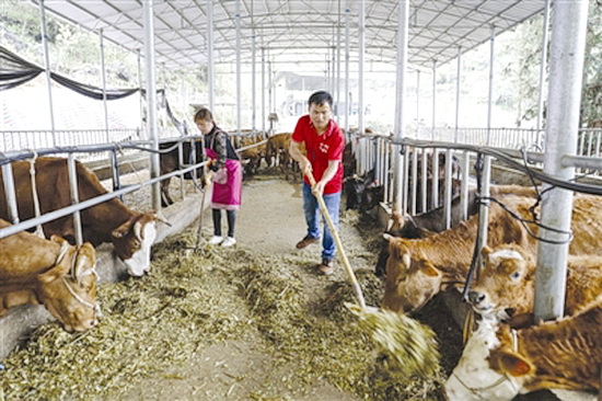 东门镇佑洞村驻村第一书记与群众共商产业发展