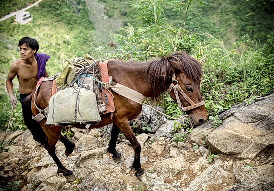 大化：条条“玉带”绕青山 千山万弄换新颜