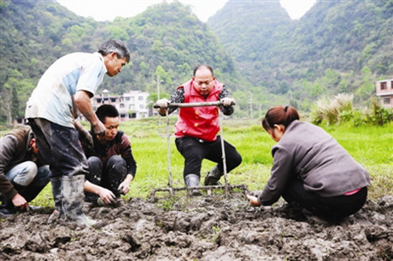马蹄获丰收 农民采挖忙