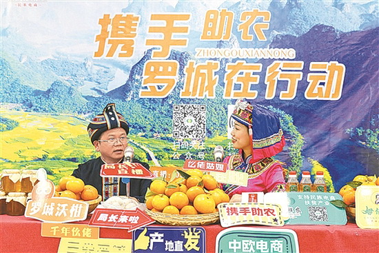 罗城县领导直播带货 推介当地土特产品