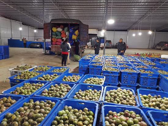 凤山:这块脱贫阵地打定主意“准时交卷”