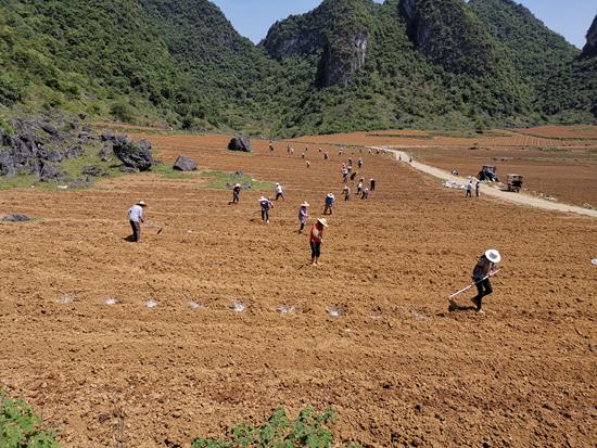 凤山:这块脱贫阵地打定主意“准时交卷”