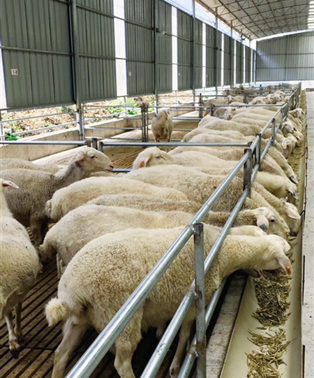 红日村，奔向红红火火