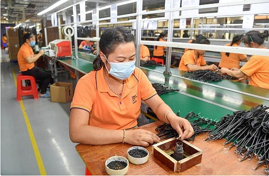 广西东兰：复工复产促就业