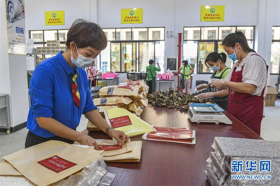 仫佬族女企业家发展电商助力群众脱贫致富