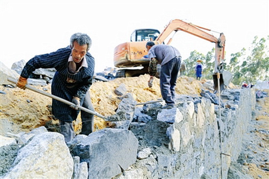 发展养牛产业 助农增收脱贫