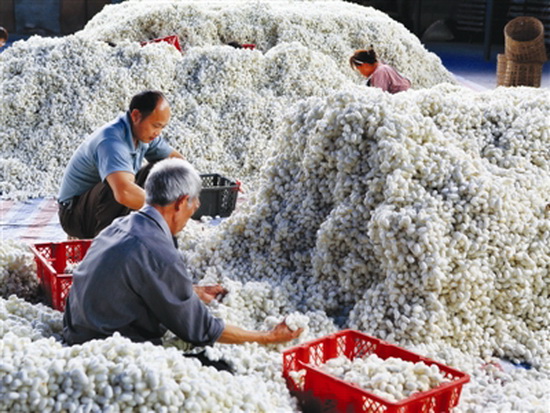 宜州:转型升级 “破茧重生”