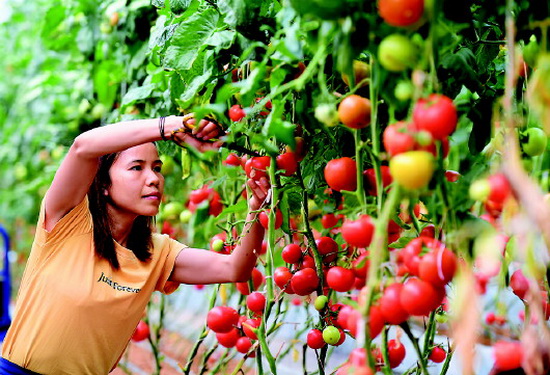 习近平:把脱贫作为奔向更加美好新生活的新起点