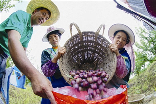 毛南山乡换新颜 摘掉穷帽奔小康
