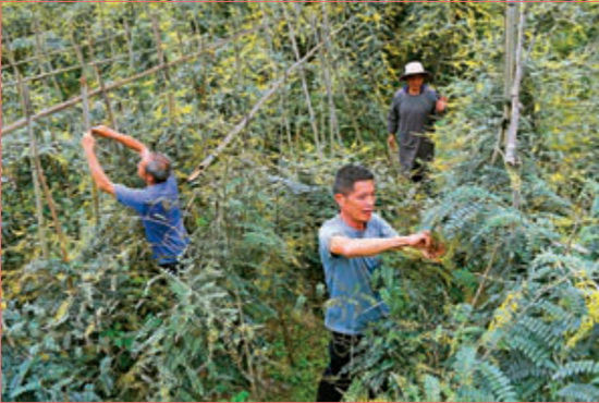 習近平：全面建成小康社會 一個民族都不能少