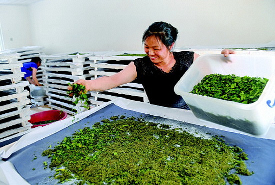 习近平:把脱贫作为奔向更加美好新生活的新起点